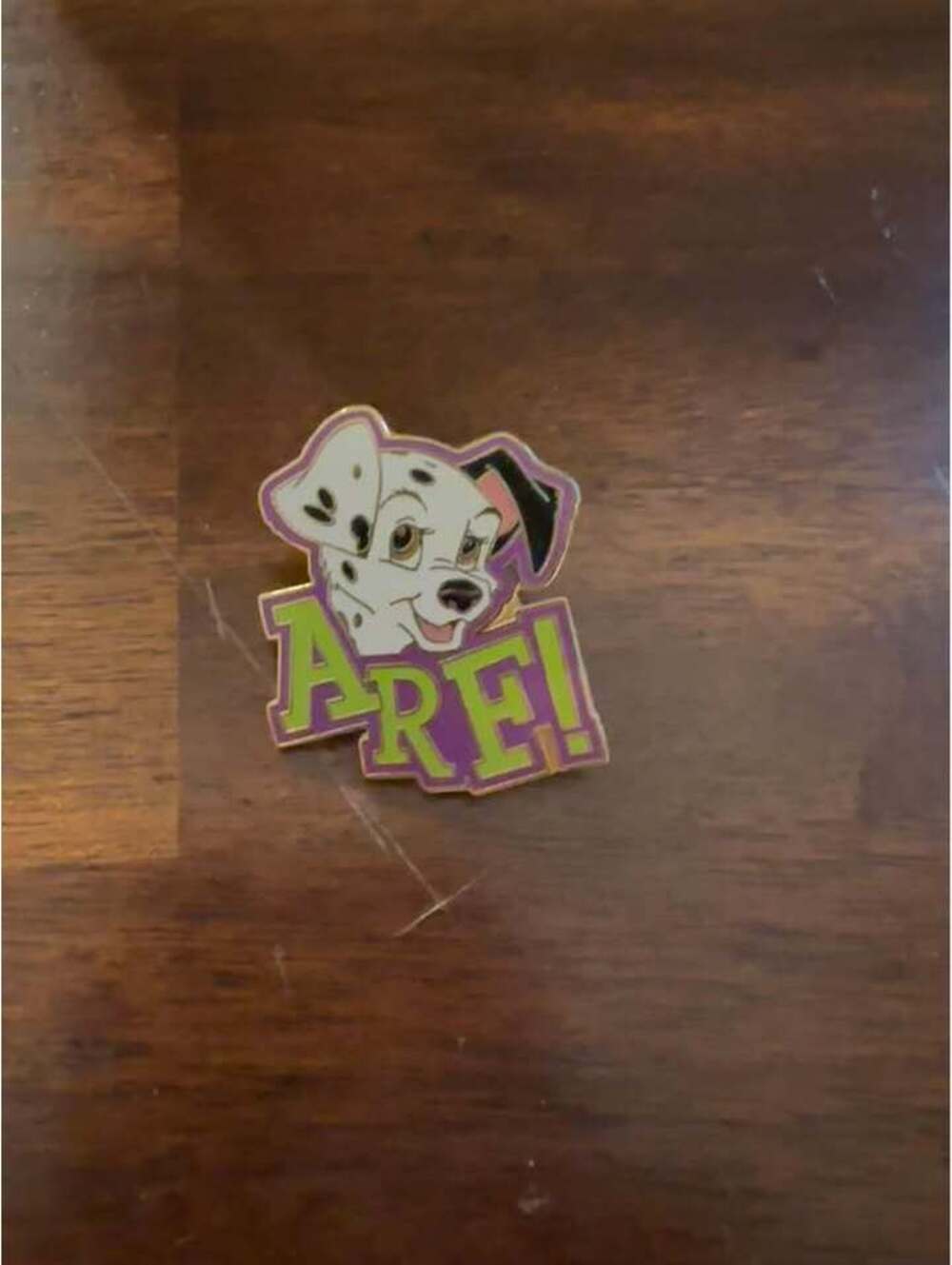 Rare Disney Cast Lanyard Arf Pin 2004
